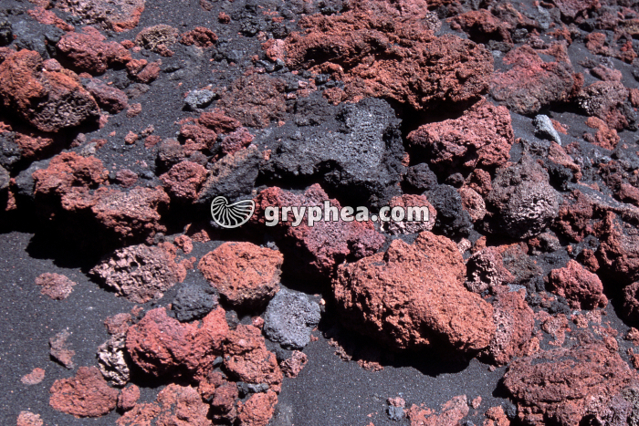 Scories volcaniques - Pouzzolane (Etna, Sicile) - gryphea.com